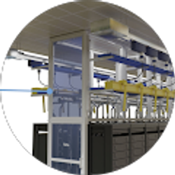 Profile photo of Ming L