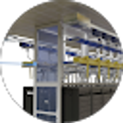 Profile photo of Ming L