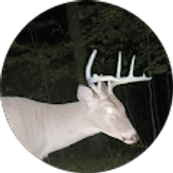 Profile photo of Samantha Boyer