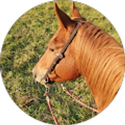 Profile photo of Faith Crisenbery