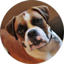 Profile photo of Yvonne P