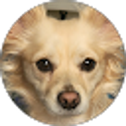 Profile photo of Sheryl Shaffer