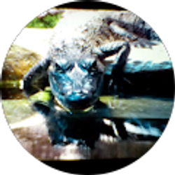 Profile photo of max1744 X