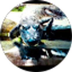Profile photo of max1744 X