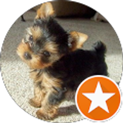 Profile photo of Brianna Roberts