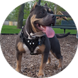 Profile photo of Manny Estrada