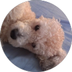 Profile photo of Mónica Cruz