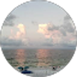 Profile photo of Lan