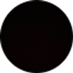 Profile photo of Antoine Gulley