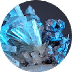 Profile photo of Dalton Campbell