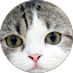 Profile photo of Some 1