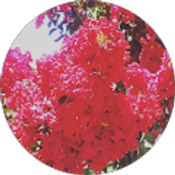 Profile photo of a b2012