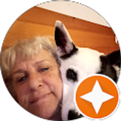 Profile photo of Toni Coffman