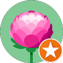 Profile photo of Tanya Sharadamba