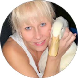 Profile photo of RHONDA KOSTAS