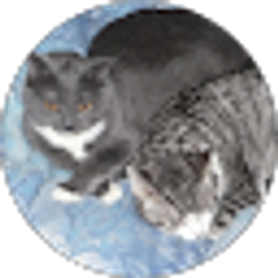 Profile photo of Kurt Steiner