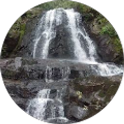 Profile photo of Nicholas Flanders