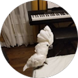 Profile photo of Jesus Gomez