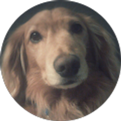 Profile photo of Cathi Osterholt
