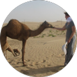 Profile photo of Alison Madill