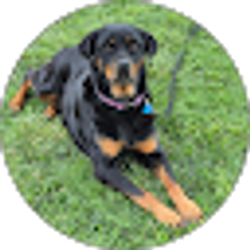 Profile photo of Dottie Baker
