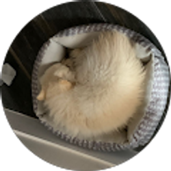 Profile photo of kristen arnold