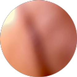 Profile photo of Aziengu Ricky