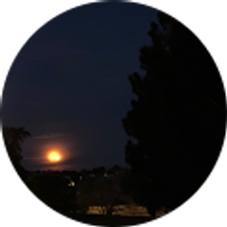 Profile photo of Shaula Nicole Velasco