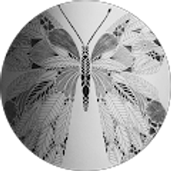 Profile photo of Kaitlyn Loeper