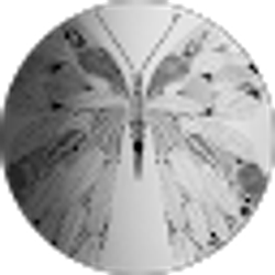 Profile photo of Kaitlyn Loeper
