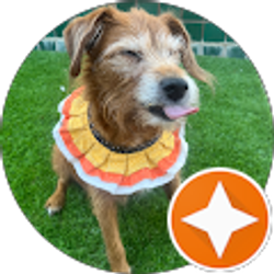 Profile photo of Linzay Crawford