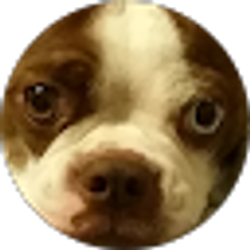 Profile photo of Carson
