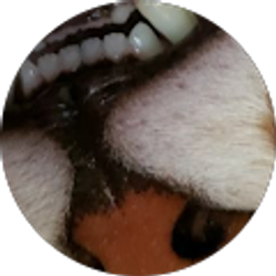 Profile photo of Katie Gacsal