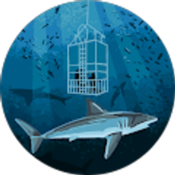 Profile photo of Amanda Lynn