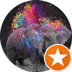 Profile photo of Terri