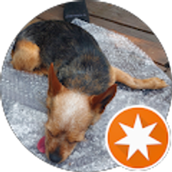 Profile photo of Debby Yates