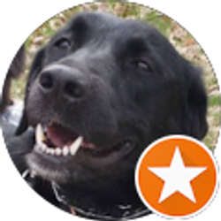 Profile photo of Anna Beagley