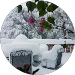 Profile photo of James Moon