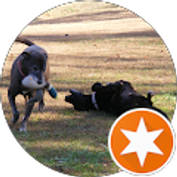 Profile photo of Michael Cipriano