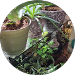 Profile photo of Karen L