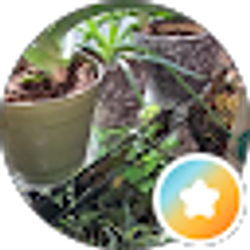 Profile photo of Karen L