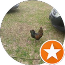 Profile photo of Woodrow Delamar