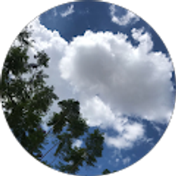 Profile photo of Yasaswi Chowdary Koganti