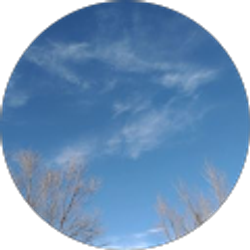 Profile photo of Patricia Best