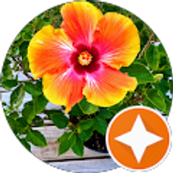 Profile photo of Barb Fleitz