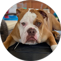 Profile photo of Stephanie StJohn