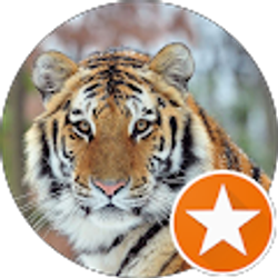 Profile photo of Jennifer VanTassel