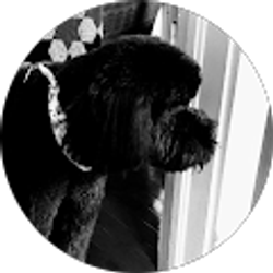 Profile photo of Terry Lynn