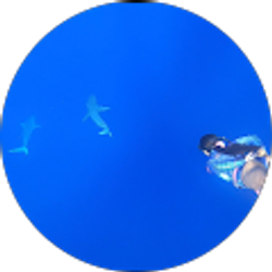 Profile photo of Camilla Collings