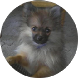 Profile photo of Sandra Jones